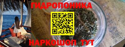 Альфа ПВП Пушкино