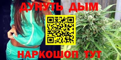 Альфа ПВП Пушкино