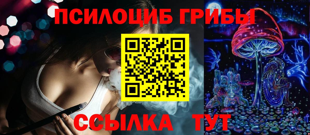 Галлюциногенные грибы GOLDEN TEACHER  магазин  наркотиков  Петрозаводск  Вход с VPN 